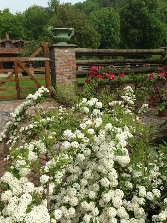 B&B Il Quadrifoglio Sciolze Dış mekan fotoğraf