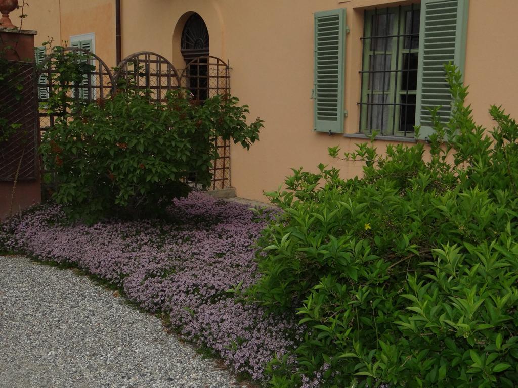 B&B Il Quadrifoglio Sciolze Dış mekan fotoğraf